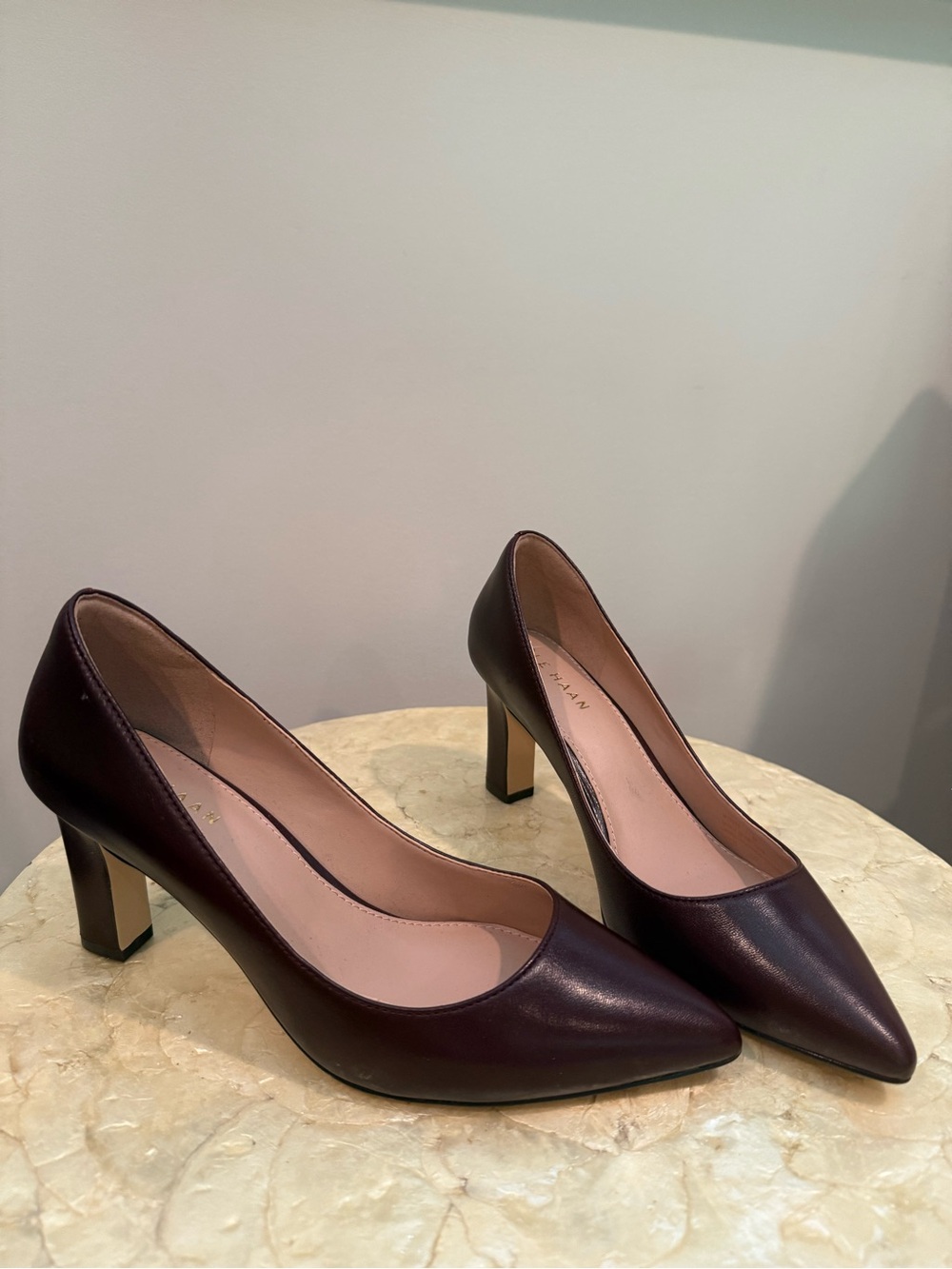 Cole Haan Women's Pointed Toe Pumps in Burgundy Size 6 NWOT
